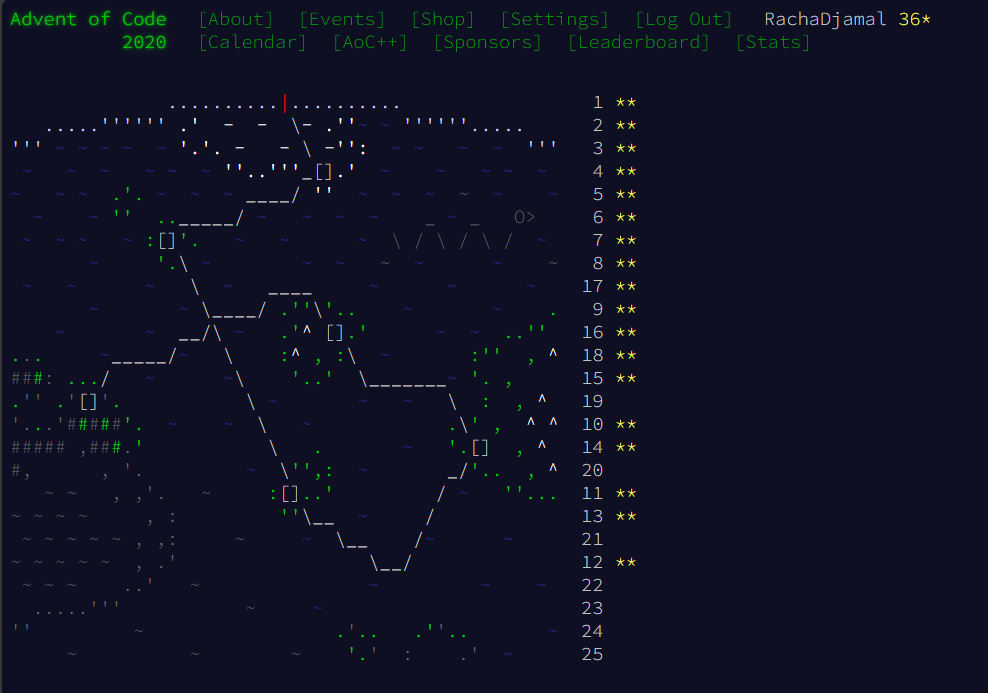 Advent of code screenshot